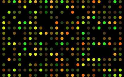 313 single nucleotide polymorphisms contribute to predict individual breast cancer risk