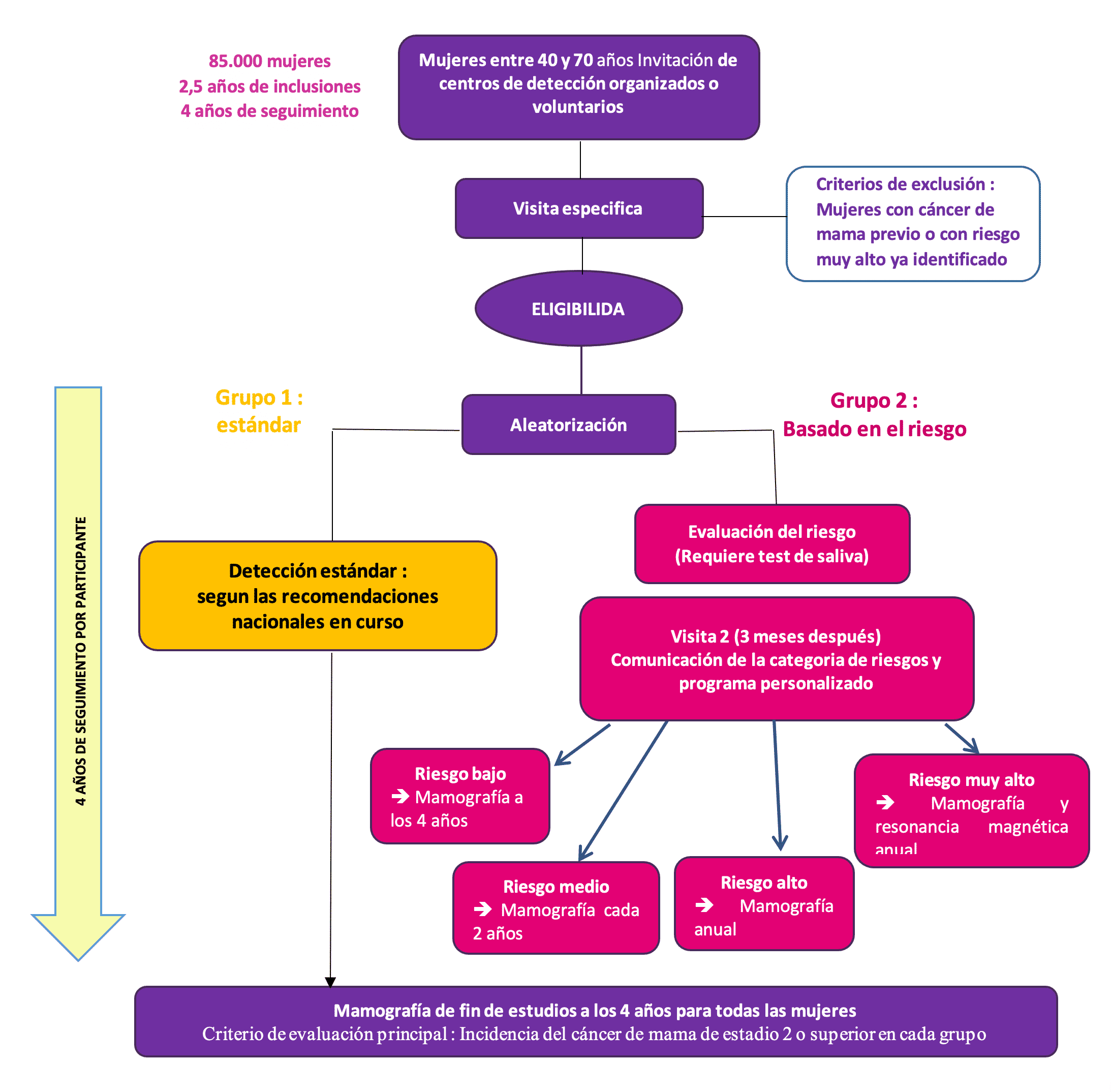 STUDY SCHEME MyPeBS